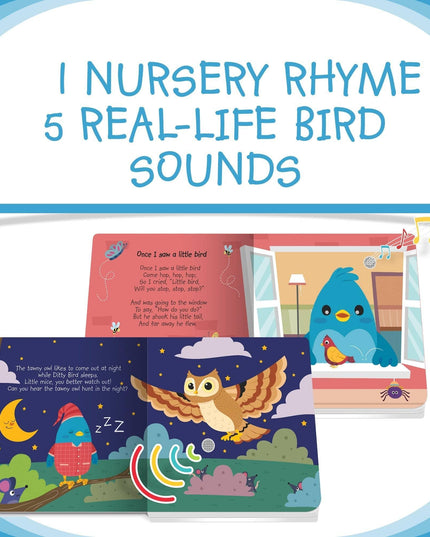 Ditty Bird - Bird Songs-1875027522828242946