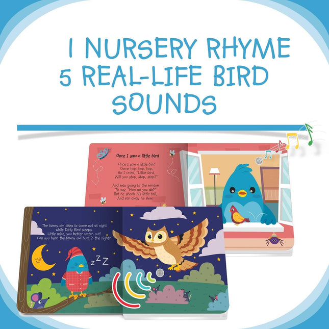 Ditty Bird - Bird Songs-1875027522828242946