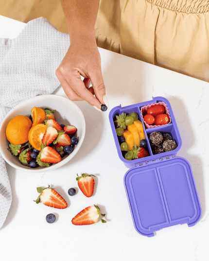 Little Lunch Box Co Bento Two Grape-1875027478393786370
