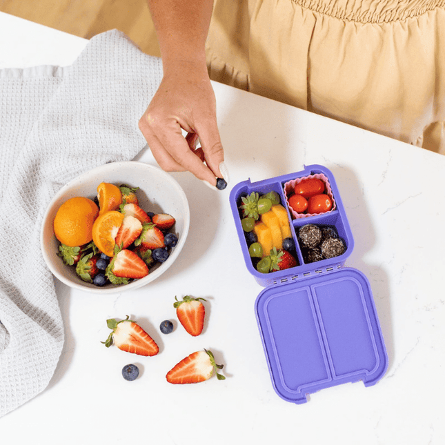 Little Lunch Box Co Bento Two Grape-1875027478393786370