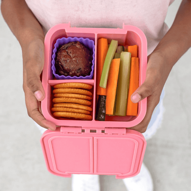 Little Lunch Box Co Bento Two Grape-1875027478393786372
