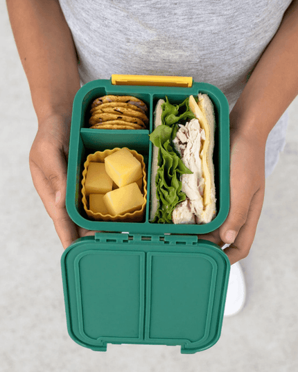 Little Lunch Box Co Bento Two Grape-1875027478393786373
