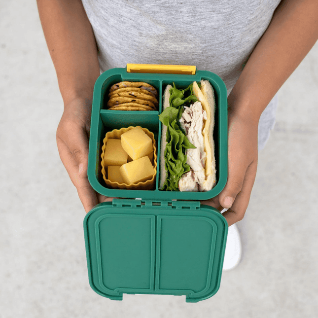 Little Lunch Box Co Bento Two Grape-1875027478393786373