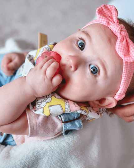Marcus & Marcus- Organic Bandana Bib & Pacifier Bib Lucas the Hippo- Blue-1875027427399438340