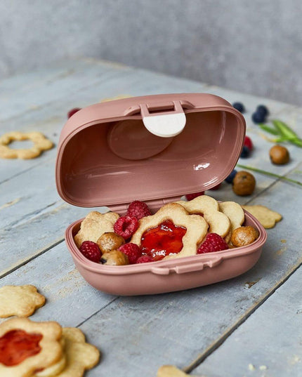 Monbento Gram Snack Box-Cinnamon Fox Cinnamon Fox-1875027483187875845