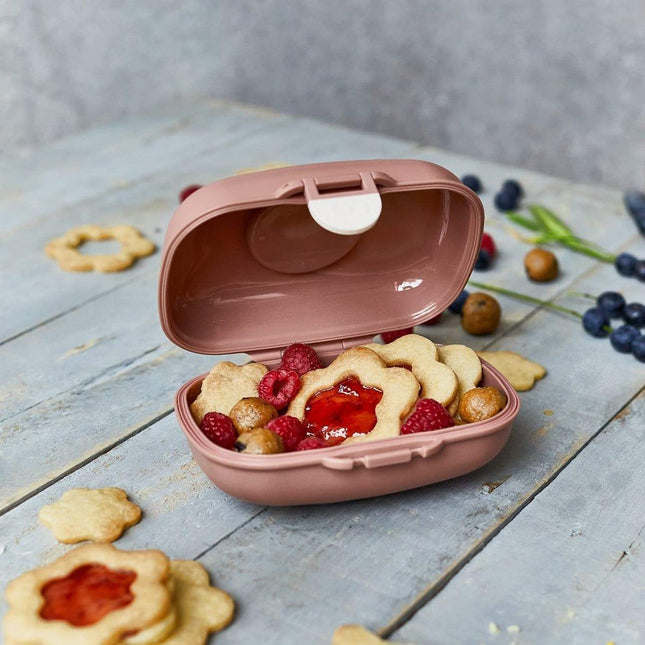 Monbento Gram Snack Box-Cinnamon Fox Cinnamon Fox-1875027483187875845