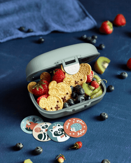 Monbento Gram Snack Box-Green Raccoon Green Raccoon-1875027483041075207