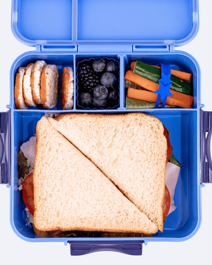 MONTII.CO Bento Plus | Blueberry-1875027551143989250