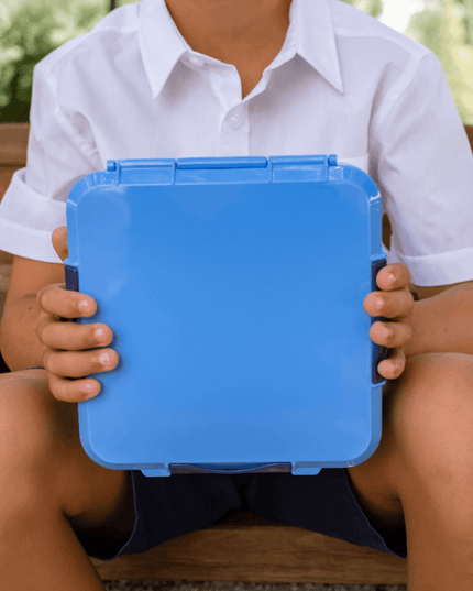 MONTII.CO Bento Plus | Blueberry-1875027551143989256