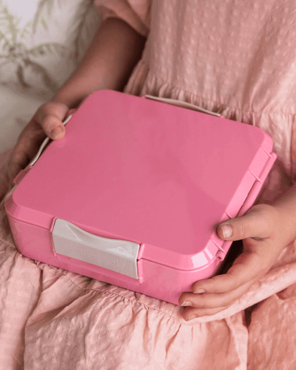 MONTII.CO Bento Plus | Blush Pink-1875027411456888836