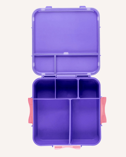 MONTII.CO Bento Plus | Grape-1875027450732351489
