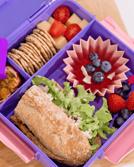 MONTII.CO Bento Plus | Grape-1875027450732351491