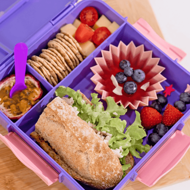 MONTII.CO Bento Plus | Grape-1875027450732351491