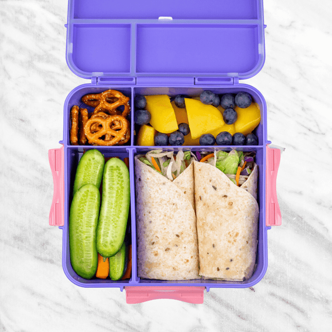 MONTII.CO Bento Plus | Grape-1875027450732351492
