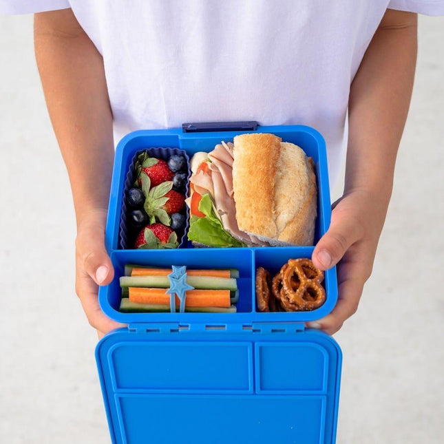 MONTII.CO Little Lunch Box Co | Bento Three - Blueberry-1875027495842091011