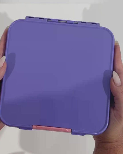 MONTII.CO Little Lunch Box Co | Bento Three -Grape-1875027496278298632