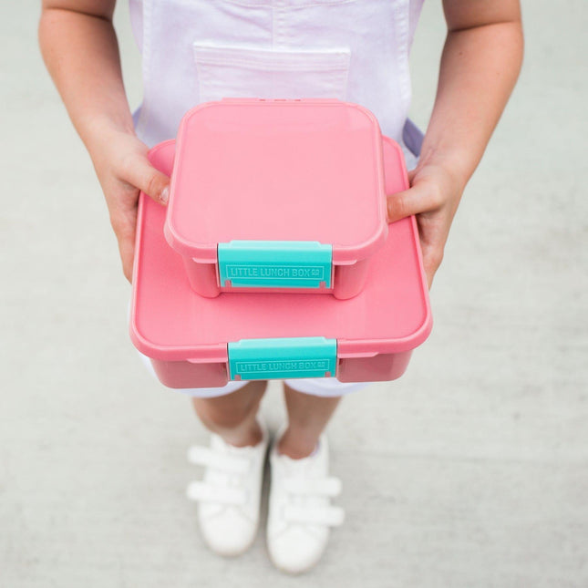 MONTII.CO Little Lunch Box Co | Bento Three -Strawberry-1875027496429293572