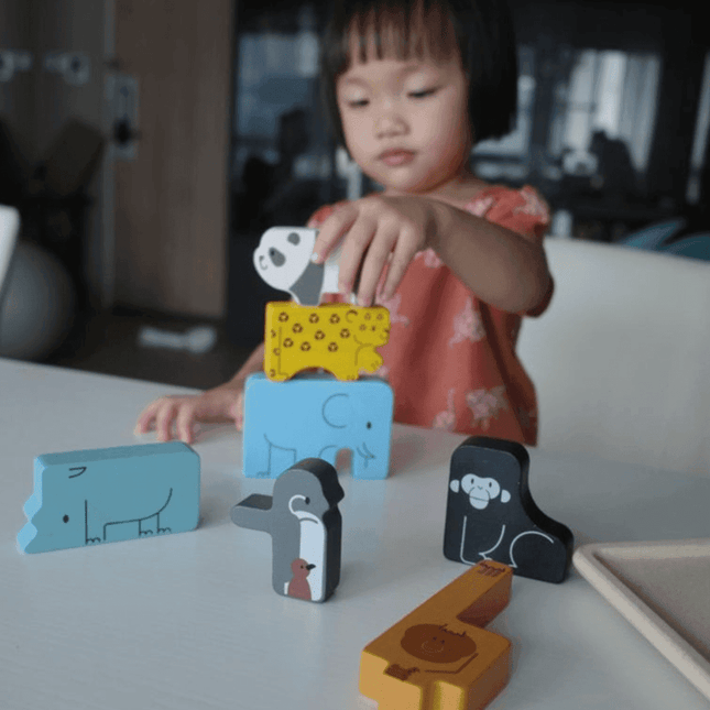 Plan Toys Animal Puzzle Game-1875027399855443973