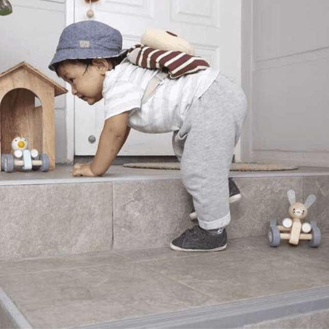 Plan Toys Bunny Racing Car-1875027406968983556