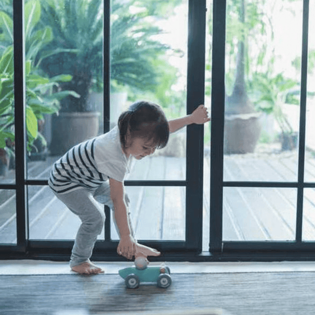 Plan Toys Chicken Racing Car-1875027406830571526