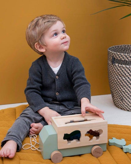 Trixie Wooden Animal Truck-1875027404087496706