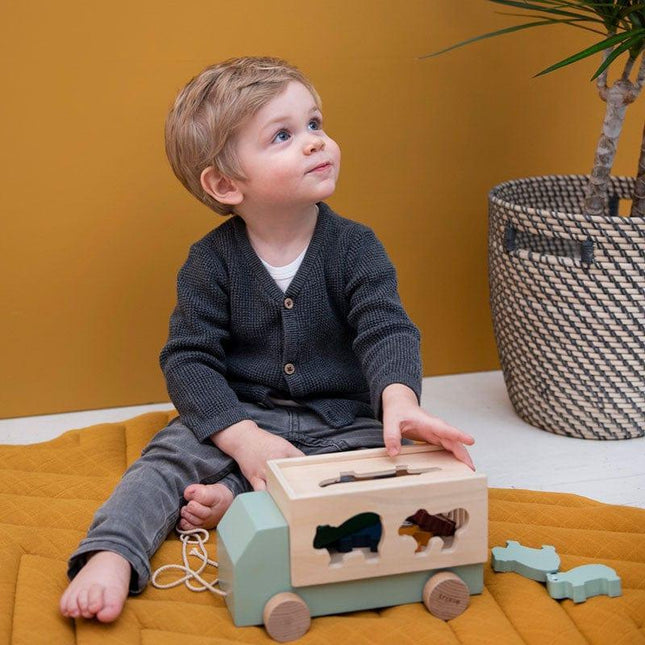 Trixie Wooden Animal Truck-1875027404087496706