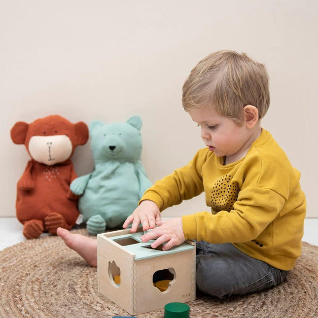 Trixie Wooden Shape Sorter-1875027399406653444